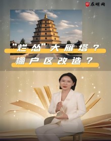 “烂怂大雁塔下的棚户区改造？”