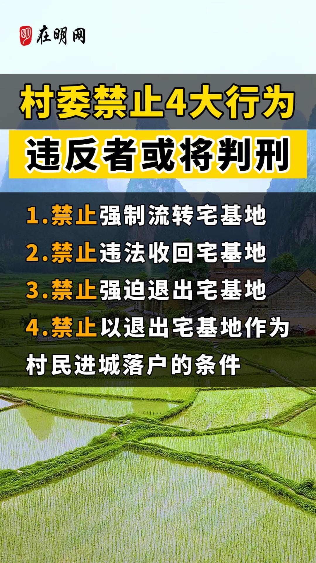 村委禁止4大行为违反者或将判刑！