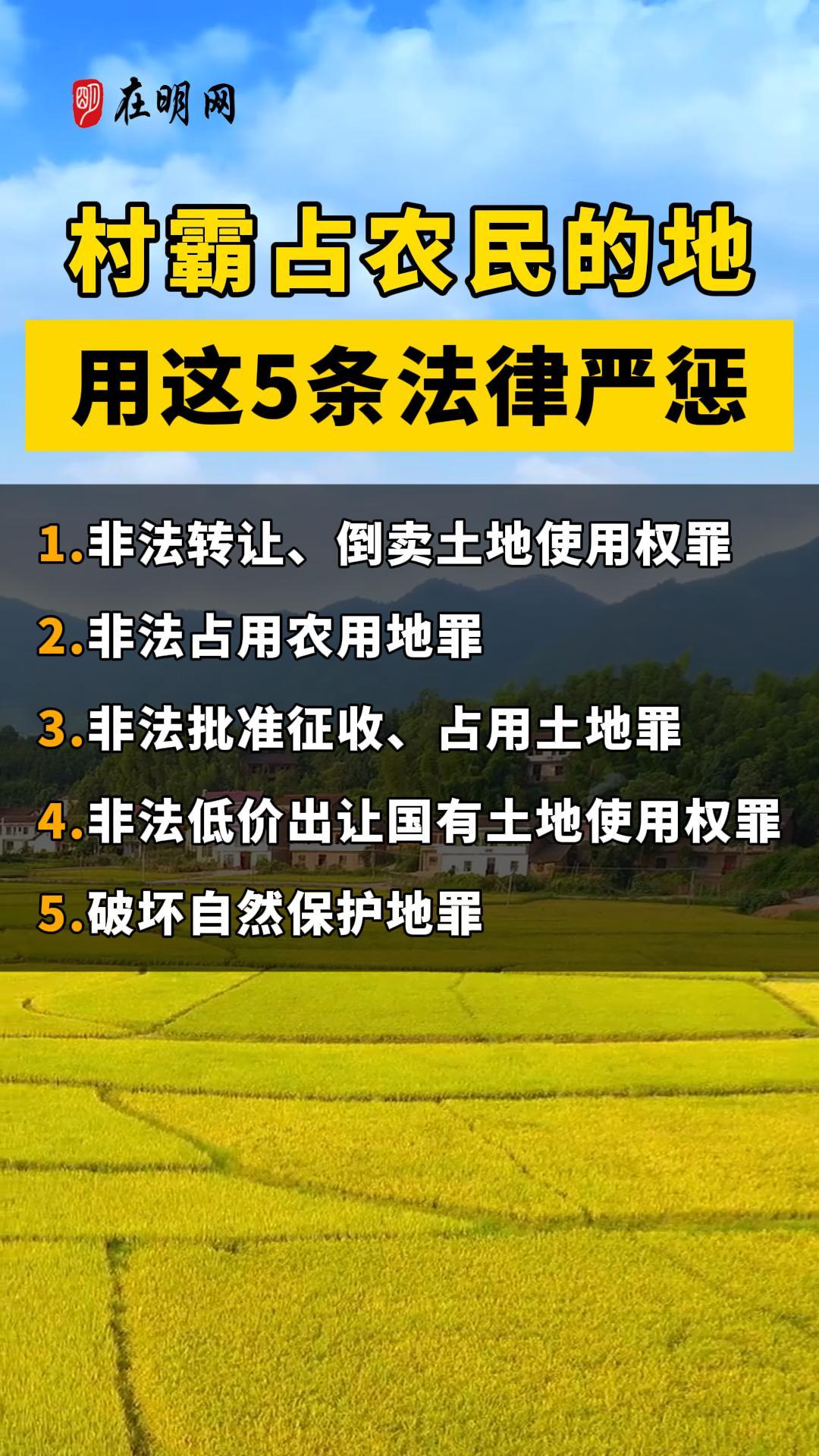 村霸占农民的地用这5条法律严惩！